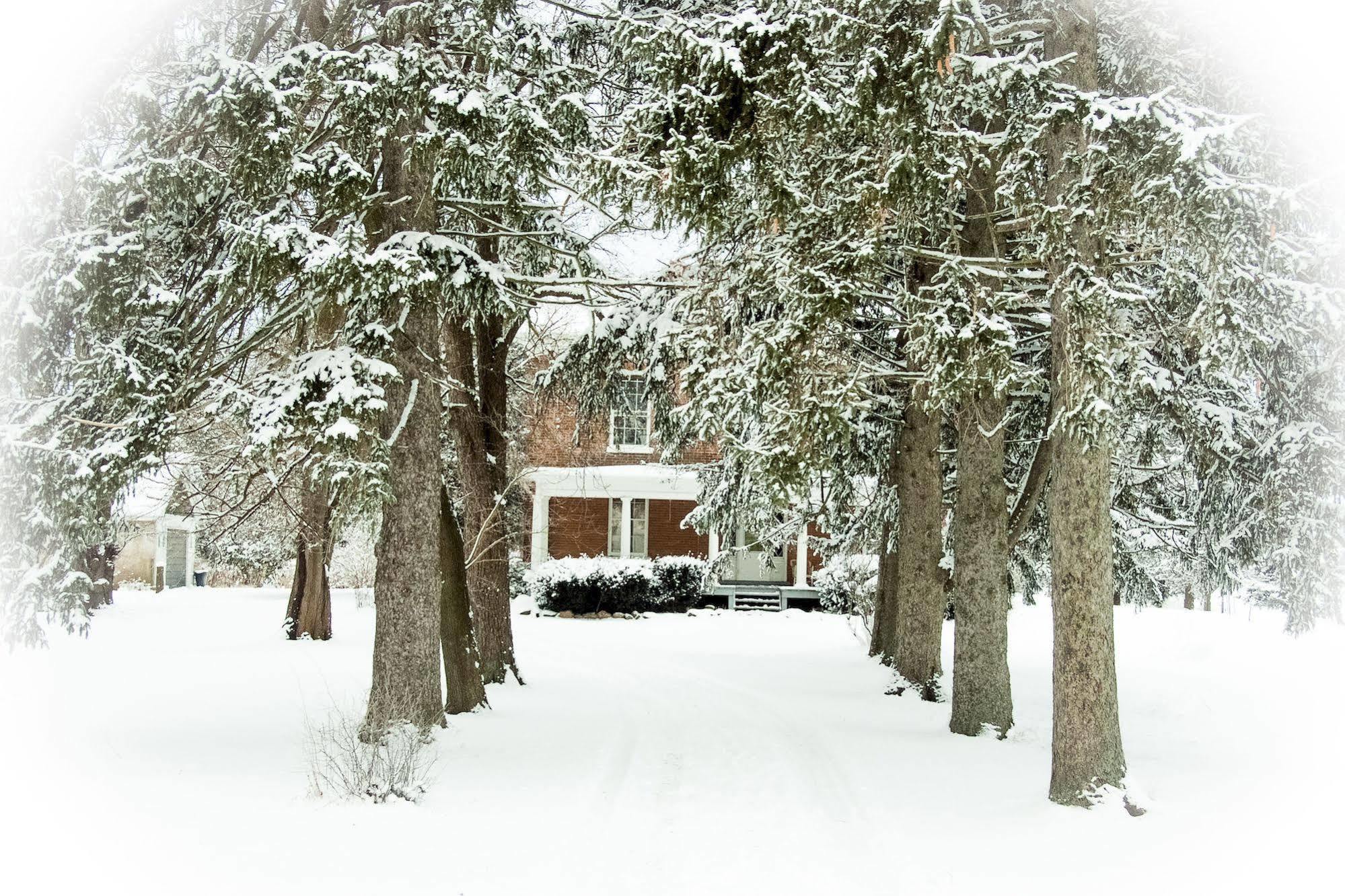 Culverdene House Bed & Breakfast Simcoe Exterior photo